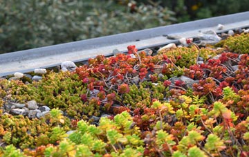 the cost of Hilltown green roof installation