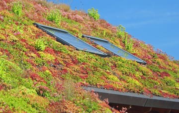 Hilltown living roof systems